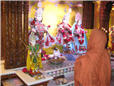 janmashtami (45).jpg